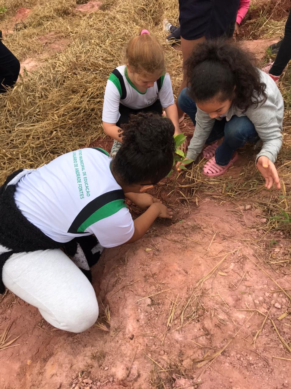 Preparação dos berços para o plantio de mudas no Parque Natural Municipal do Cristo Redentor de Viçosa