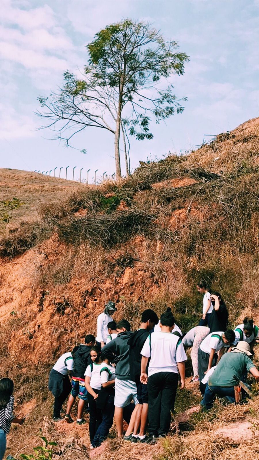 Parque do Cristo de Viçosa realiza plantio de árvores nativas no Dia da Árvore