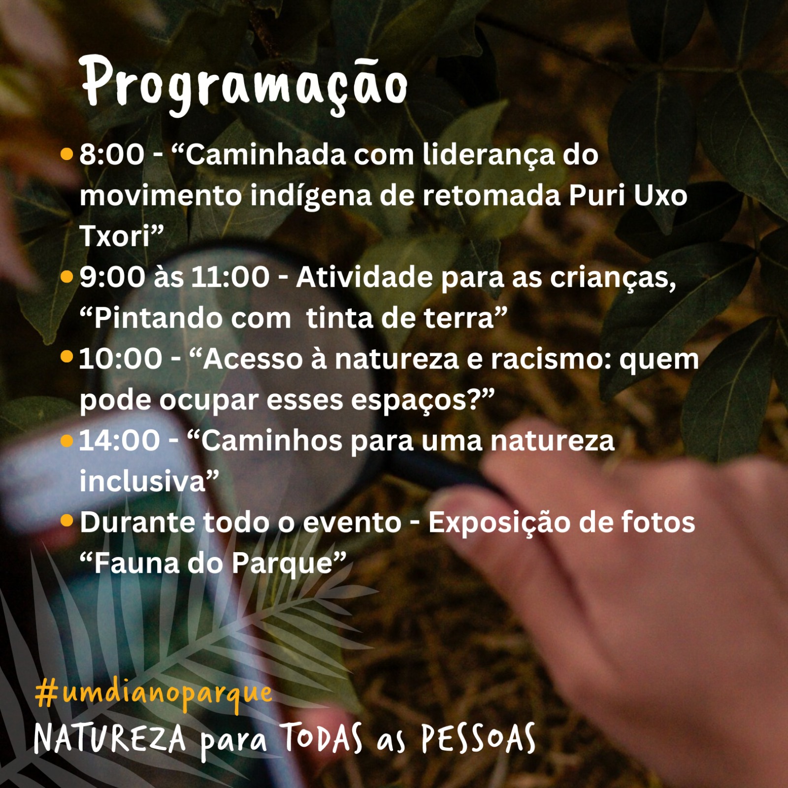 Programação Um Dia no Parque 2024