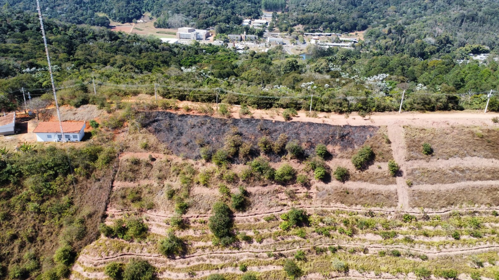 Incêndio criminoso combatido dentro do Parque do Cristo