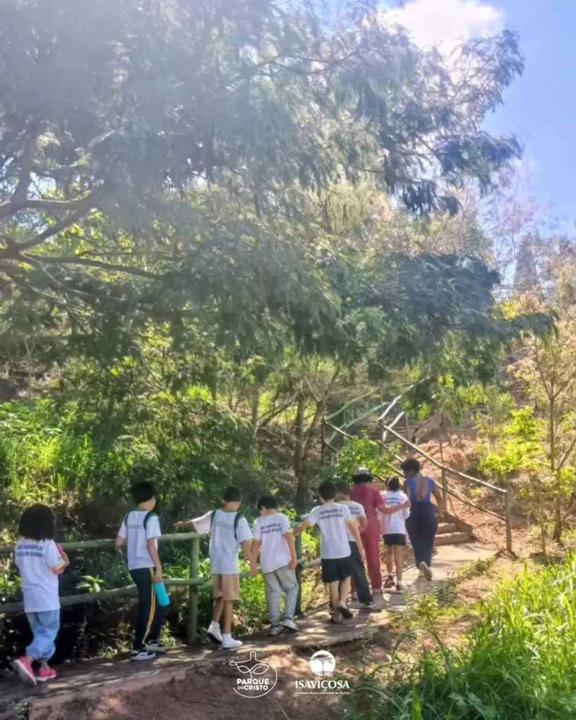 Alunos do 3º ano do CMEDJAF fazem caminhada ecológica e aula integrada no Parque do Cristo