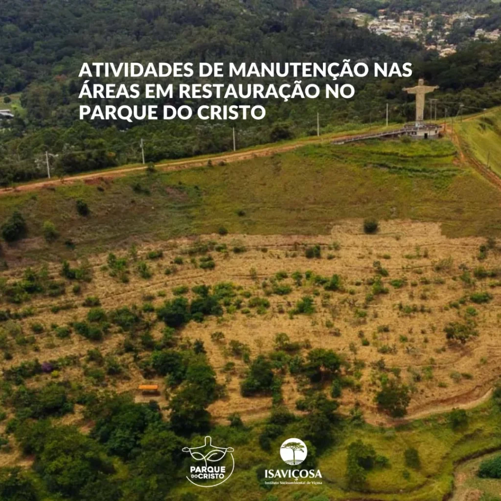 Atividades de manutenção nas áreas em restauração no Parque do Cristo