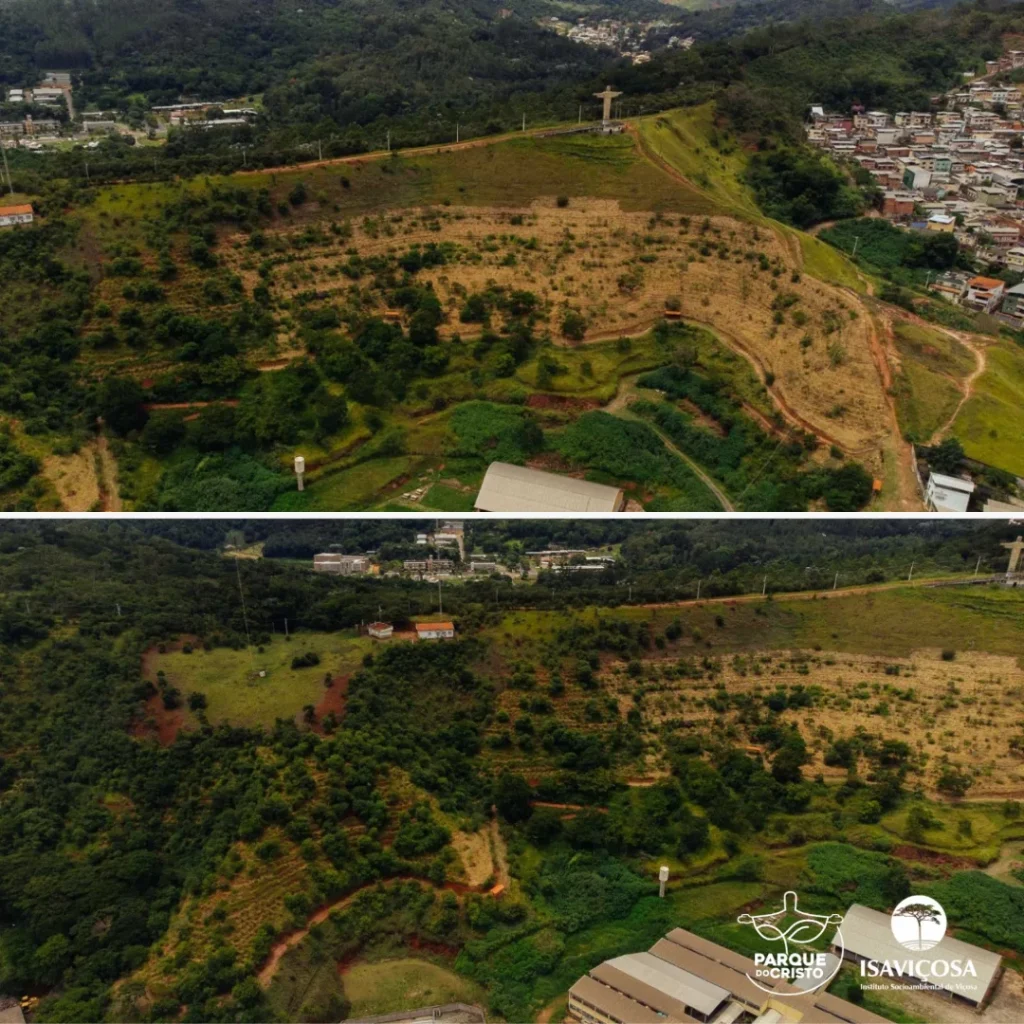 Atividades de manutenção nas áreas em restauração no Parque do Cristo