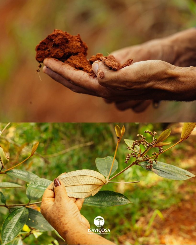 Dia do Educador Ambiental: nosso agradecimento