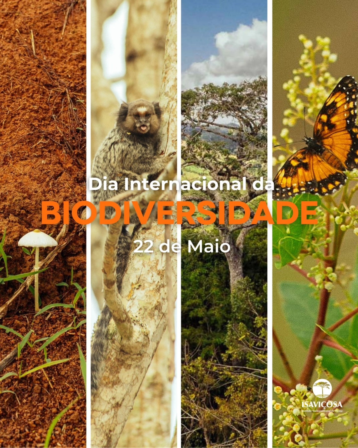 DIA INTERNACIONAL DA BIODIVERSIDADE