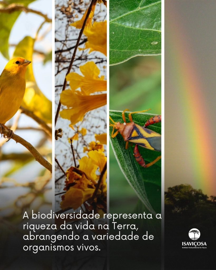 DIA INTERNACIONAL DA BIODIVERSIDADE