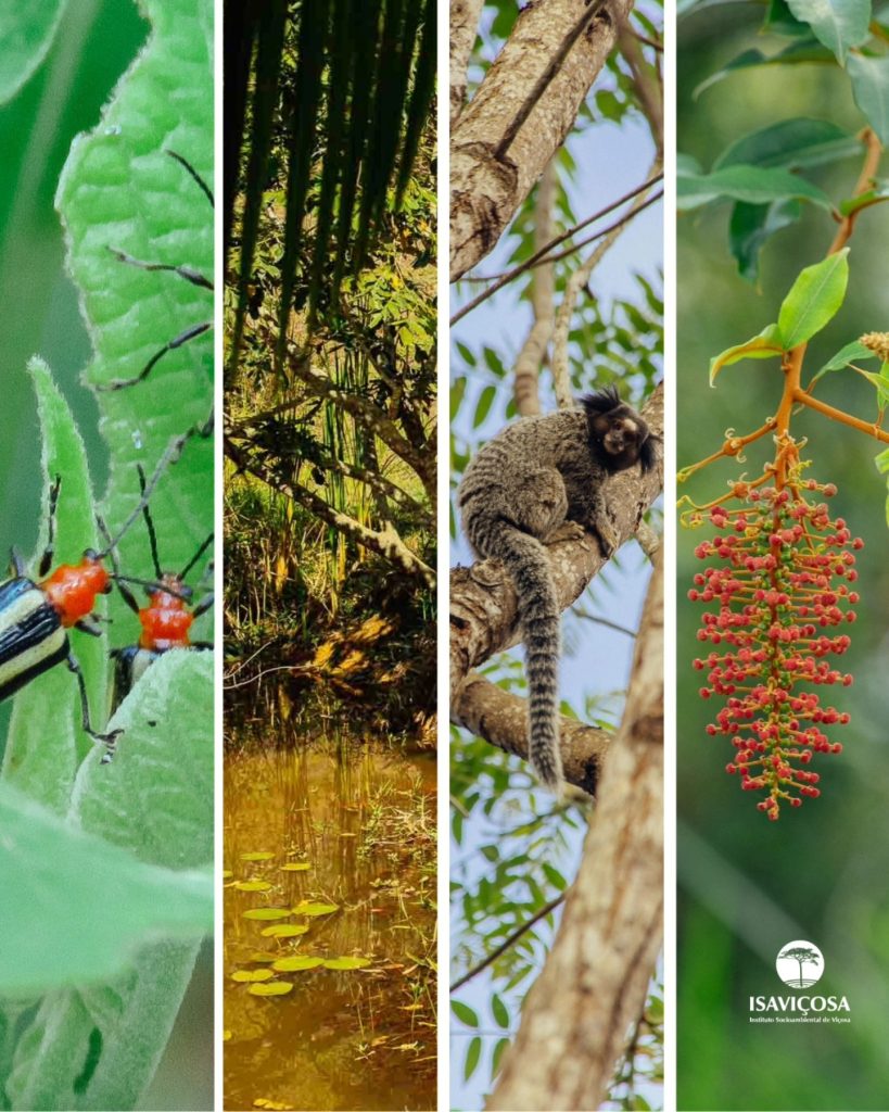DIA INTERNACIONAL DA BIODIVERSIDADE