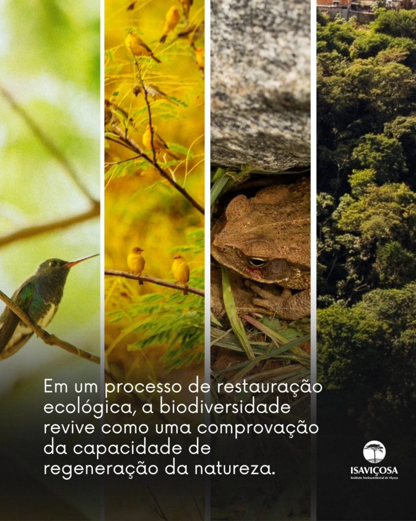 DIA INTERNACIONAL DA BIODIVERSIDADE