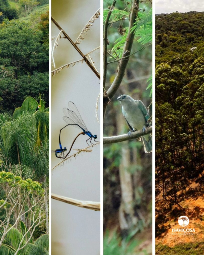DIA INTERNACIONAL DA BIODIVERSIDADE