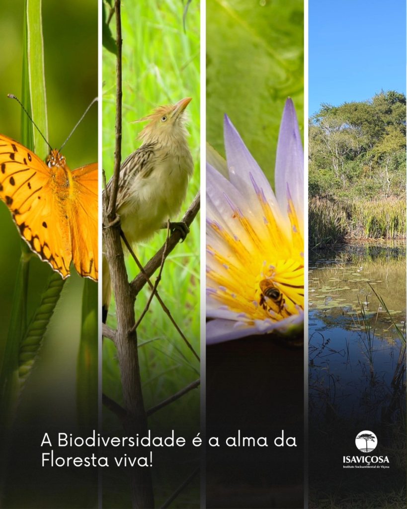 DIA INTERNACIONAL DA BIODIVERSIDADE