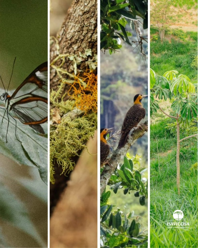 DIA INTERNACIONAL DA BIODIVERSIDADE
