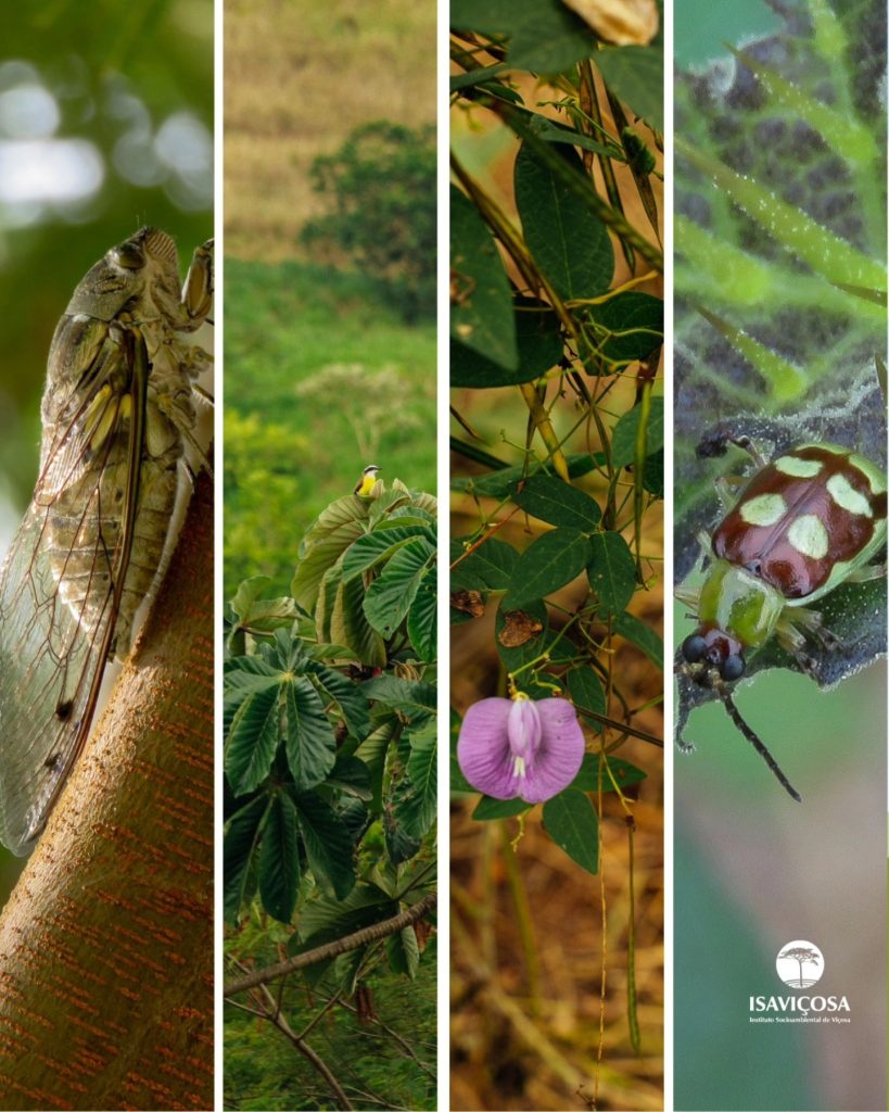 DIA INTERNACIONAL DA BIODIVERSIDADE