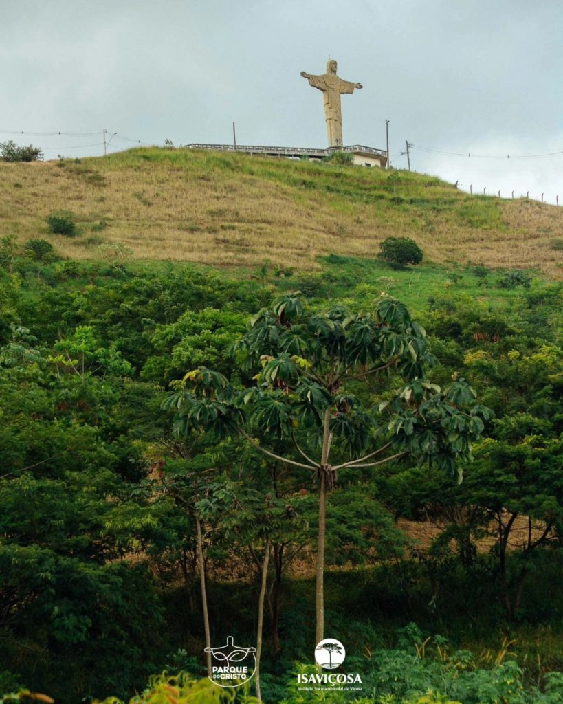 Estudantes da graduação em Geografia da UFV visitam o Parque do Cristo