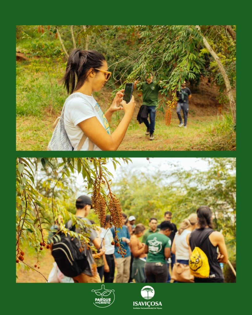 Estudantes da graduação em Geografia da UFV visitam o Parque do Cristo