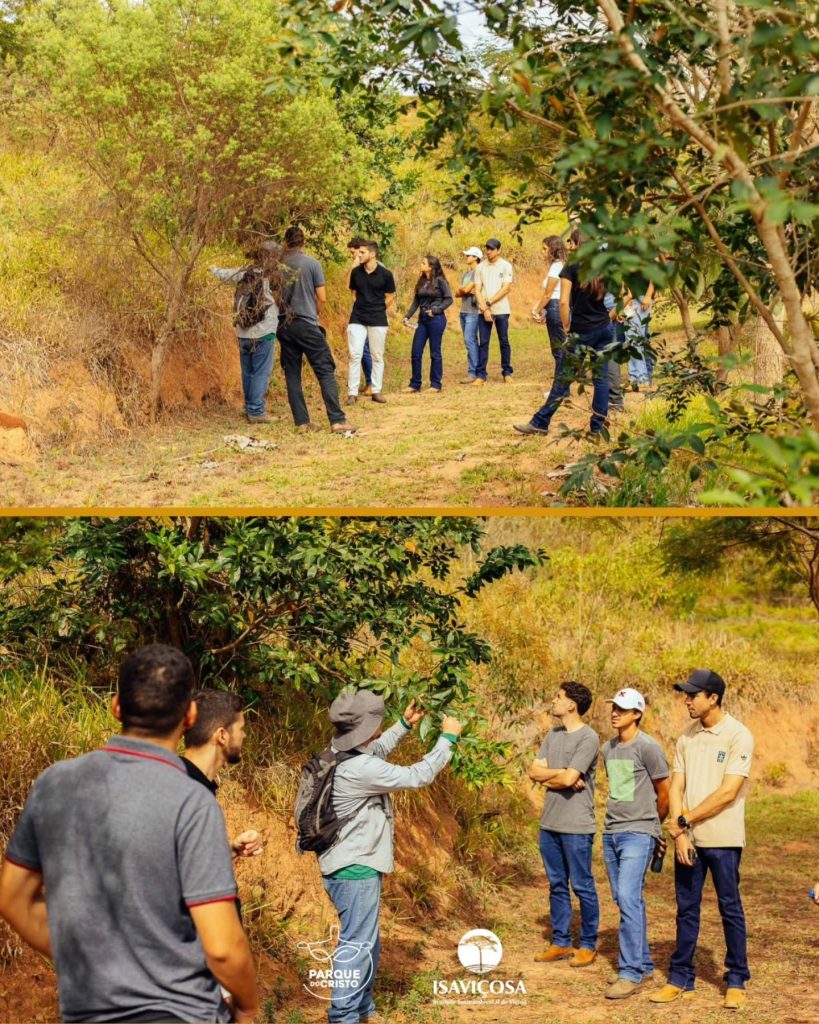 Estudantes da UFV visitam Parque do Cristo para conhecer técnicas ecológicas de manejo e conservação de solo e água