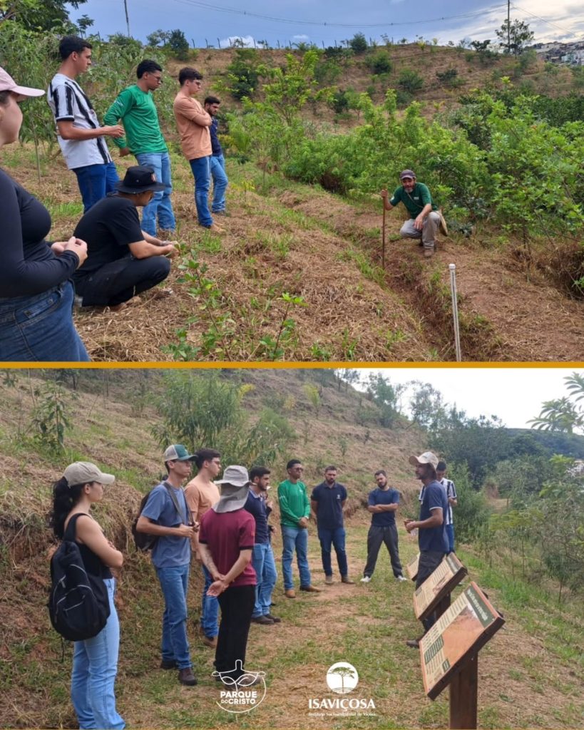 Estudantes de Agronomia da UFV têm aula de campo sobre conservação de solo e água no Parque