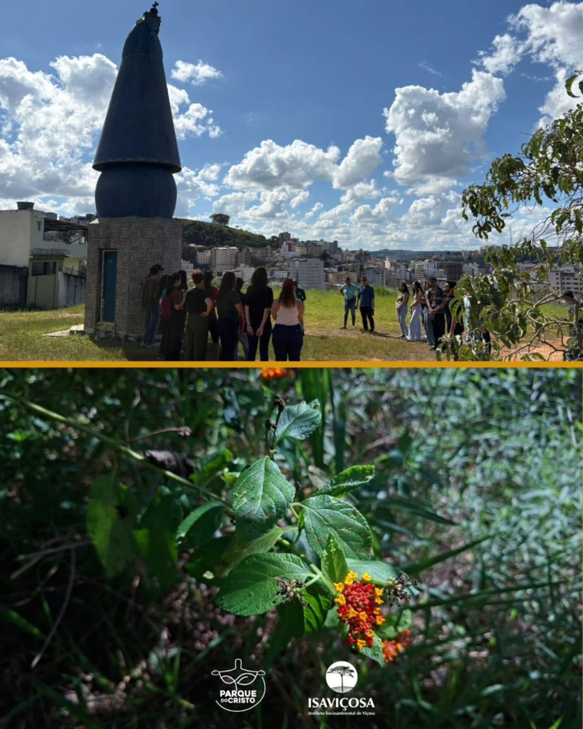 Estudantes de Ciências Biológicas da UFV visitam o Parque do Cristo