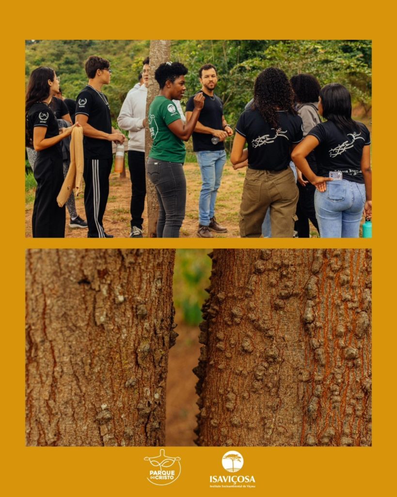 Estudantes do 1º ano da E.E. Santa Rita de Cássia visitam Parque do Cristo