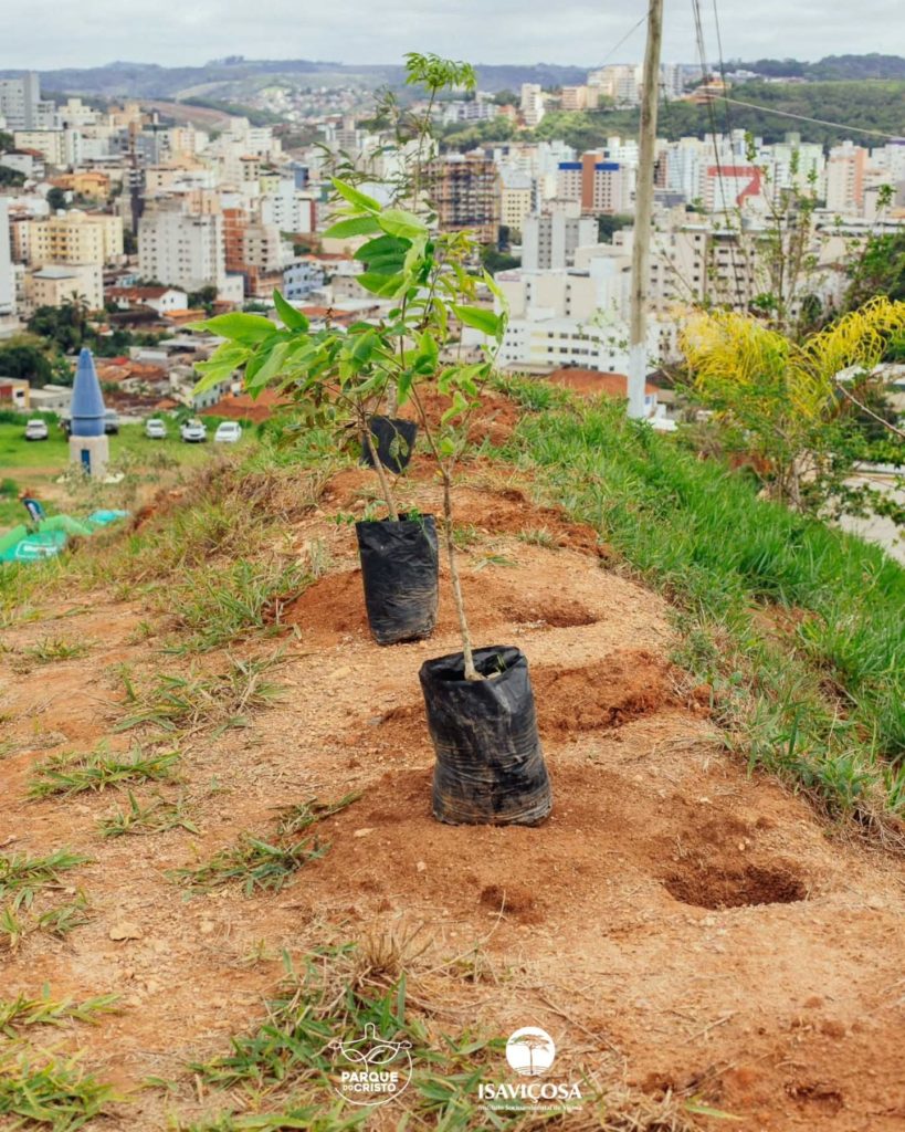 ISAVIÇOSA e Cooperativas de Viçosa realizam Dia de Cooperar 2025, no Parque do Cristo, com um animado Mutirão de Plantio
