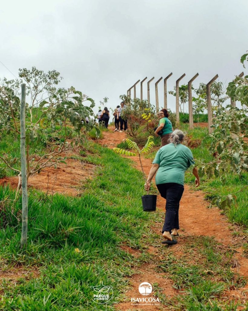 ISAVIÇOSA e Cooperativas de Viçosa realizam Dia de Cooperar 2025, no Parque do Cristo, com um animado Mutirão de Plantio