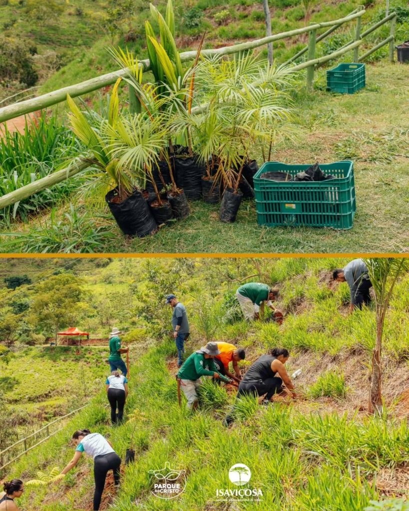 ISAVIÇOSA e Cooperativas de Viçosa realizam Dia de Cooperar 2025, no Parque do Cristo, com um animado Mutirão de Plantio