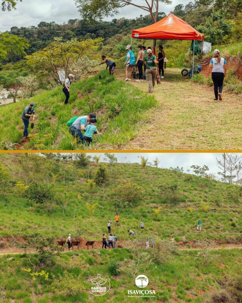 ISAVIÇOSA e Cooperativas de Viçosa realizam Dia de Cooperar 2025, no Parque do Cristo, com um animado Mutirão de Plantio