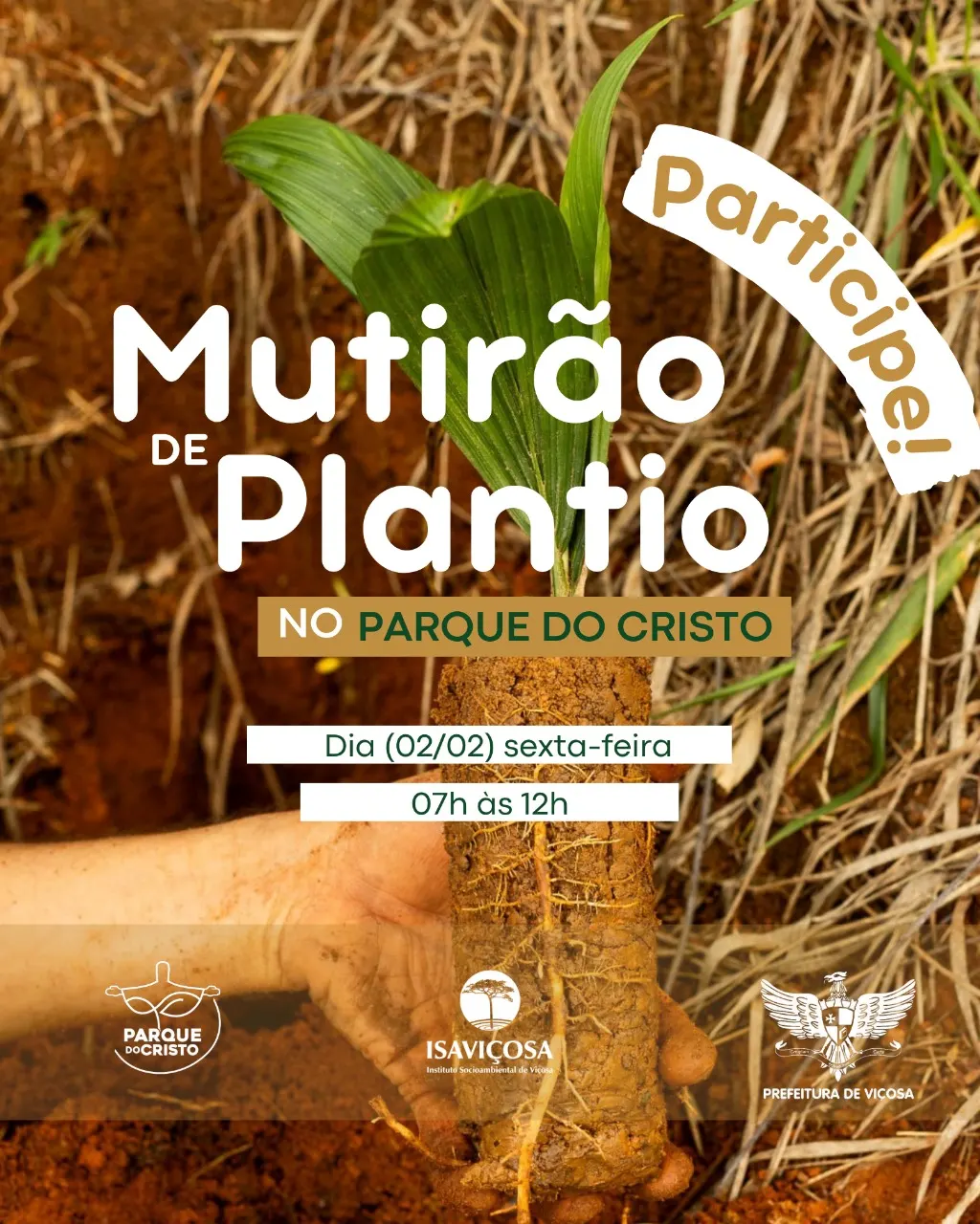 Mutirão de Plantio de Mudas e Sementes