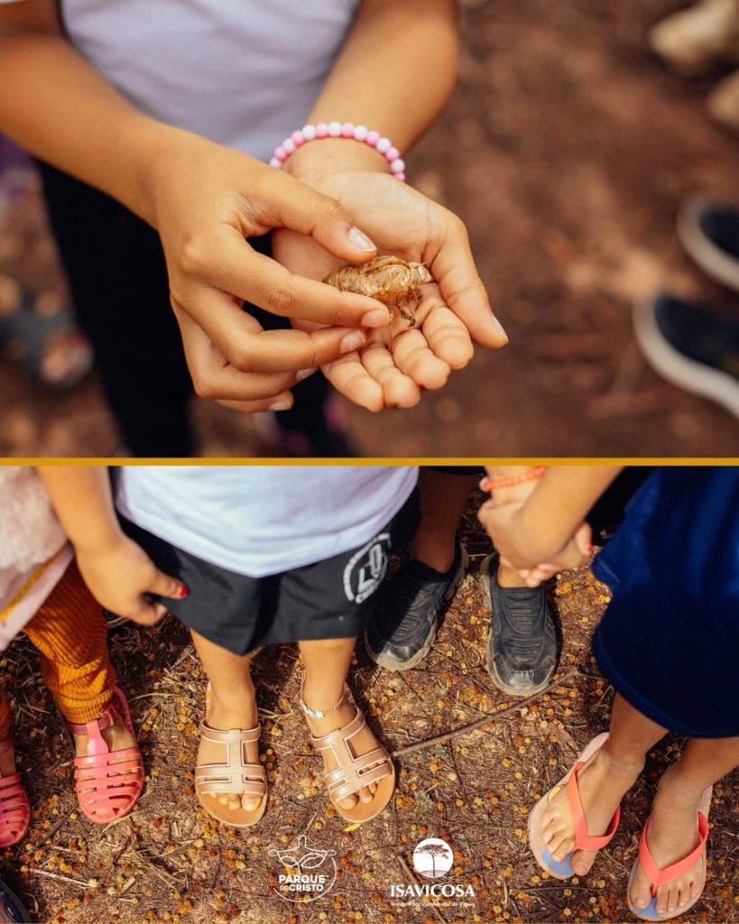 Parque do Cristo comemora aniversário com caminhada e piquenique para as crianças