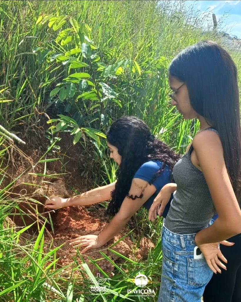 Parque do Cristo recebe plantio de 200 mudas nativas com apoio do Sicoob União dos Vales e do Interact Club