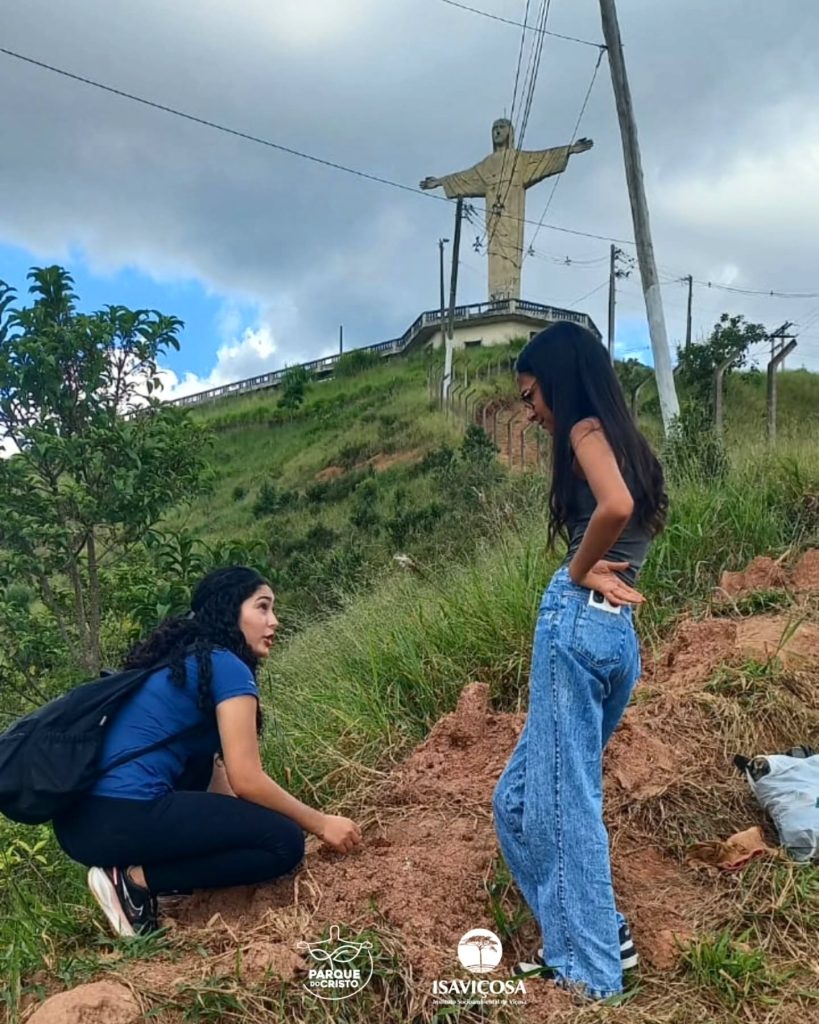 Parque do Cristo recebe plantio de 200 mudas nativas com apoio do Sicoob União dos Vales e do Interact Club