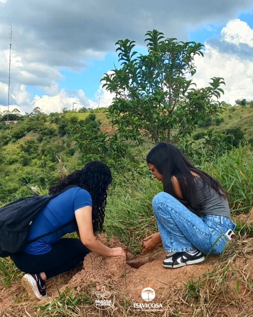 Parque do Cristo recebe plantio de 200 mudas nativas com apoio do Sicoob União dos Vales e do Interact Club