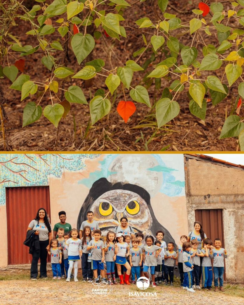 Parque do Cristo recebe visita do Centro de Educação Infantil Piuí