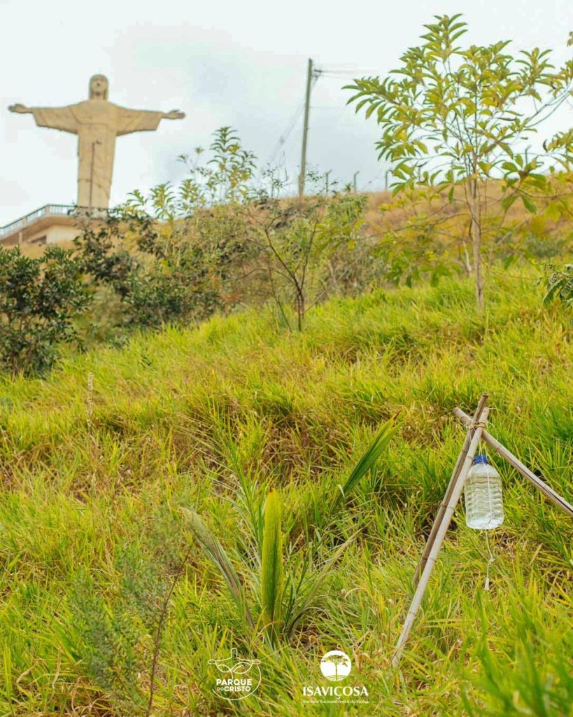 Participantes da Troca de Saberes/UFV visitam o Parque do Cristo