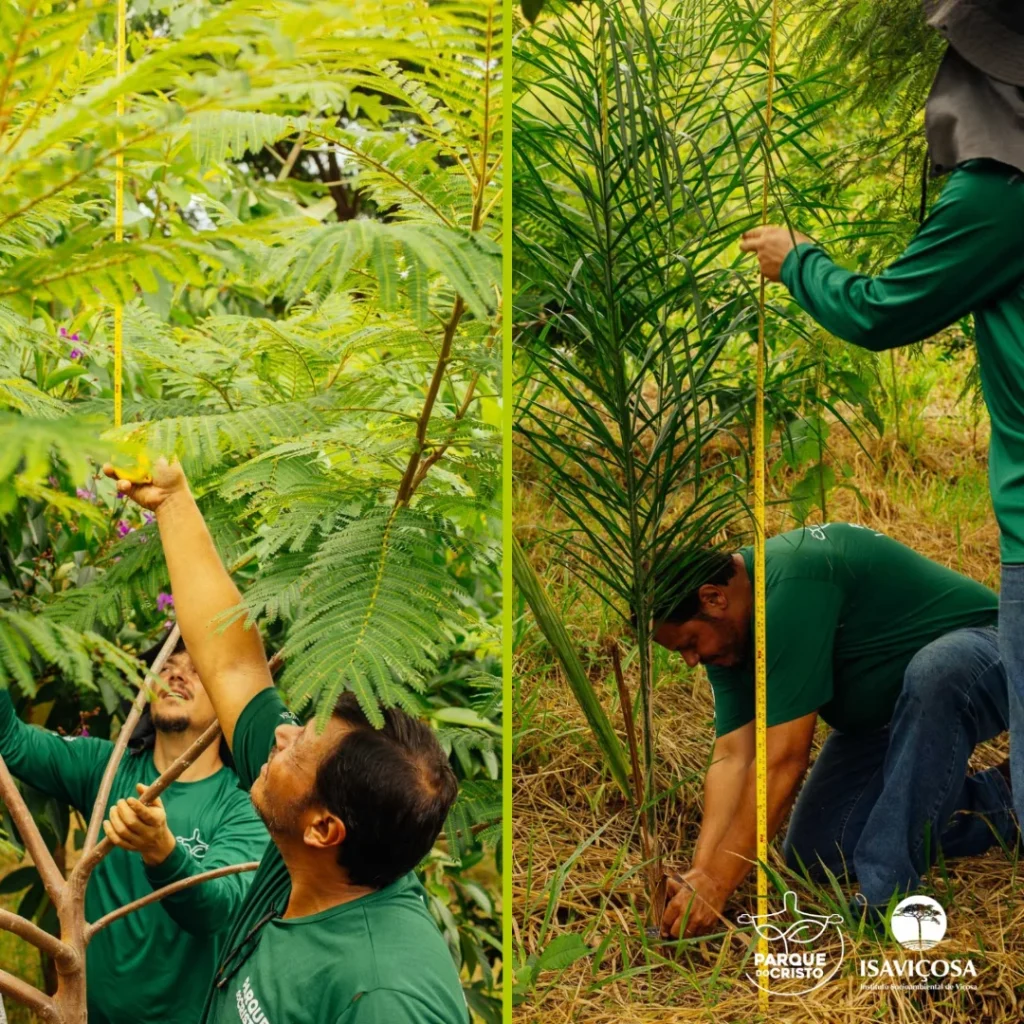 Programa de Recuperação Ambiental realiza monitoramento da vegetação no Parque do Cristo
