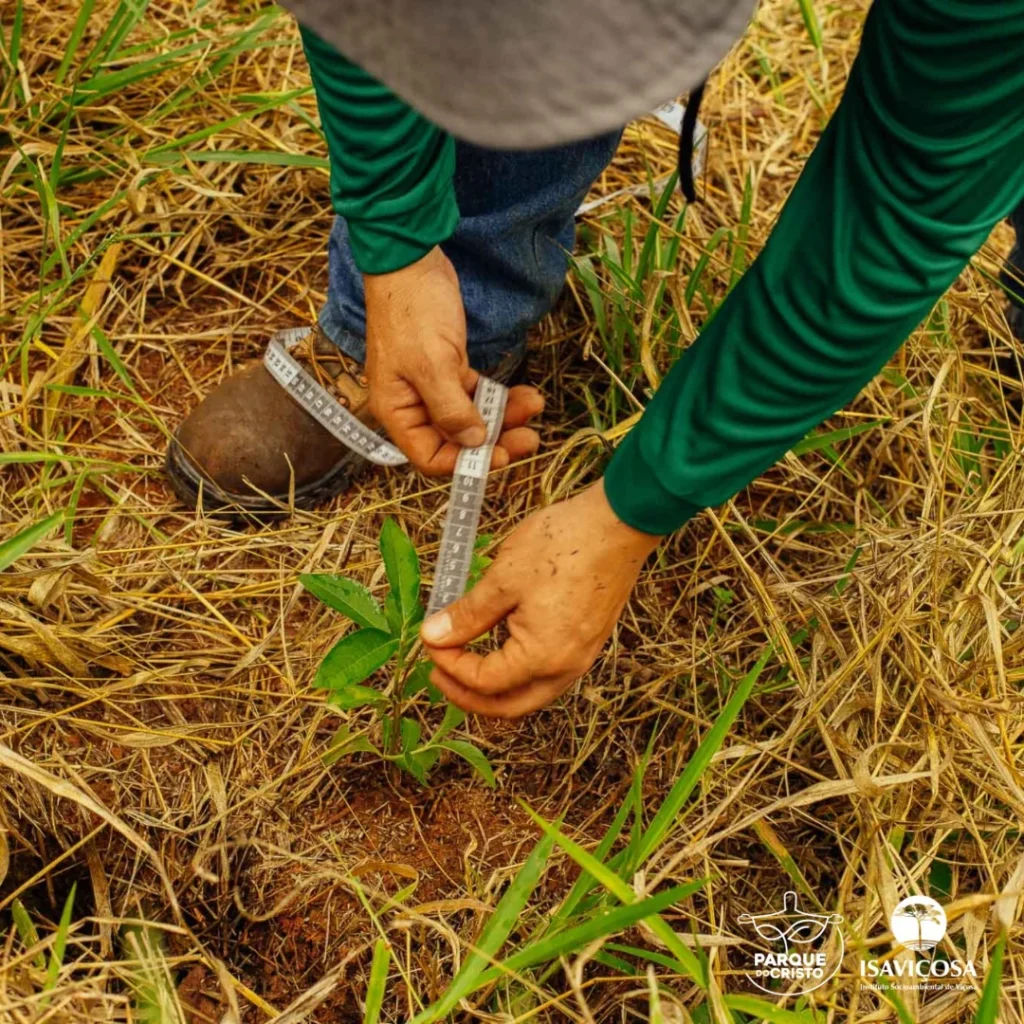 Programa de Recuperação Ambiental realiza monitoramento da vegetação no Parque do Cristo