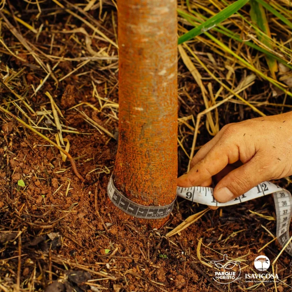 Programa de Recuperação Ambiental realiza monitoramento da vegetação no Parque do Cristo