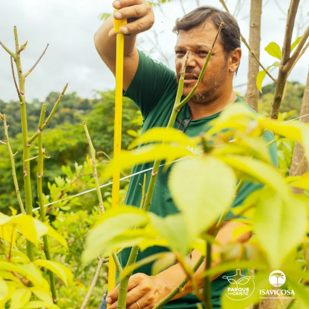 Programa de Recuperação Ambiental realiza monitoramento da vegetação no Parque do Cristo