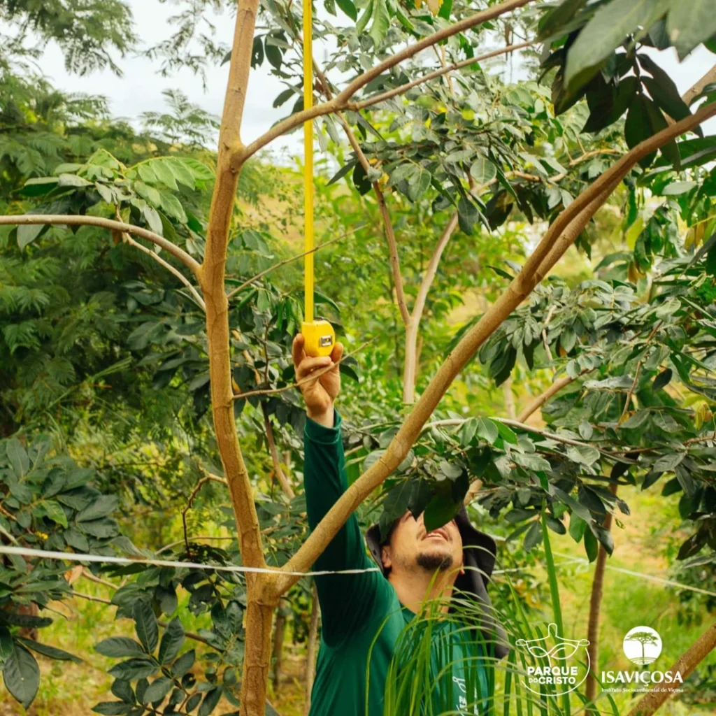 Programa de Recuperação Ambiental realiza monitoramento da vegetação no Parque do Cristo