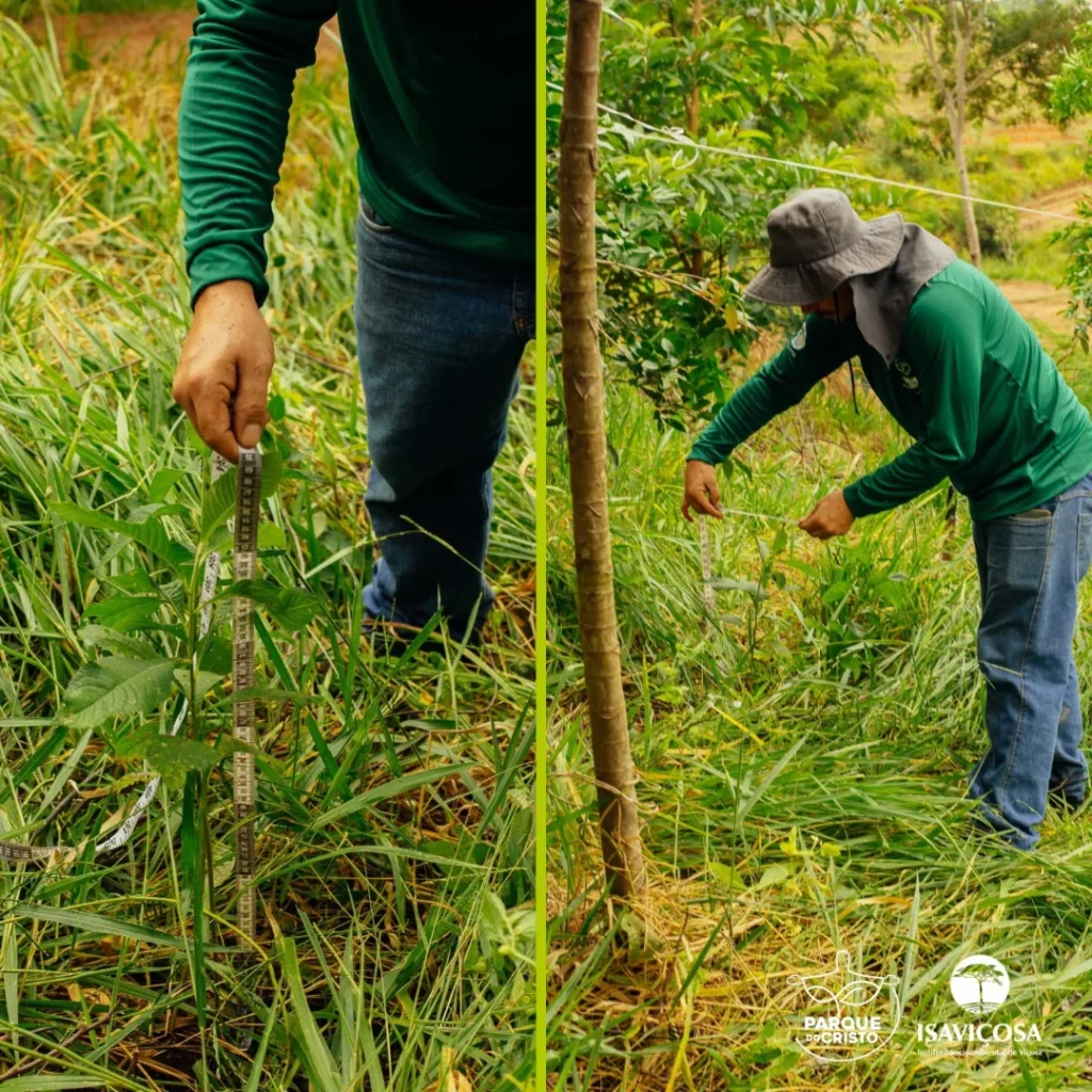 Programa de Recuperação Ambiental realiza monitoramento da vegetação no Parque do Cristo