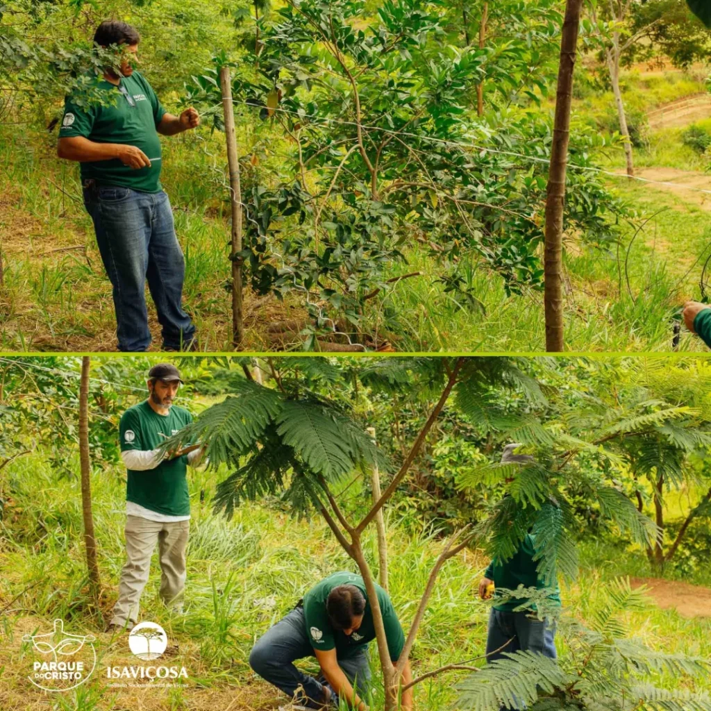Programa de Recuperação Ambiental realiza monitoramento da vegetação no Parque do Cristo
