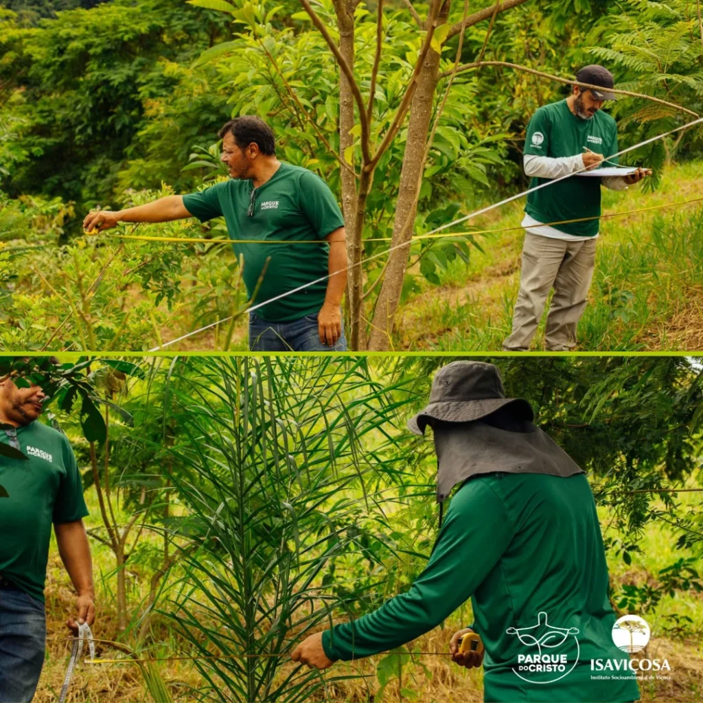 Programa de Recuperação Ambiental realiza monitoramento da vegetação no Parque do Cristo