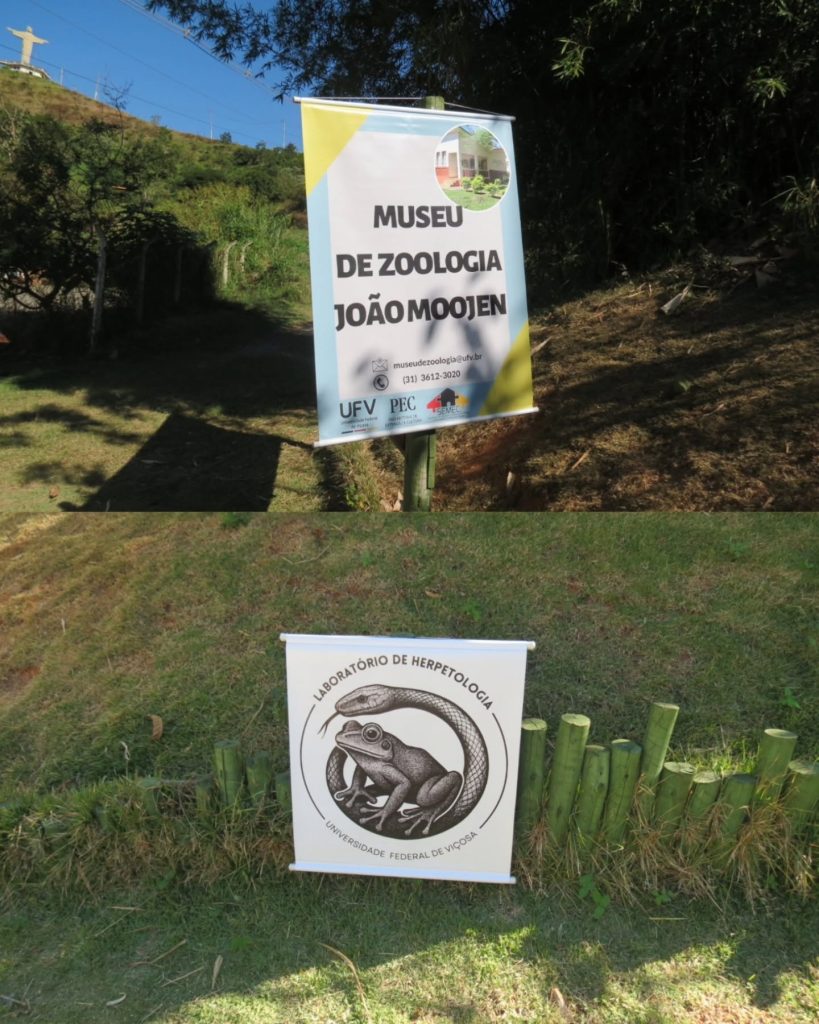 Semana do Meio Ambiente 2026 leva mais de 100 crianças ao Parque do Cristo para conhecer anfíbios e répteis