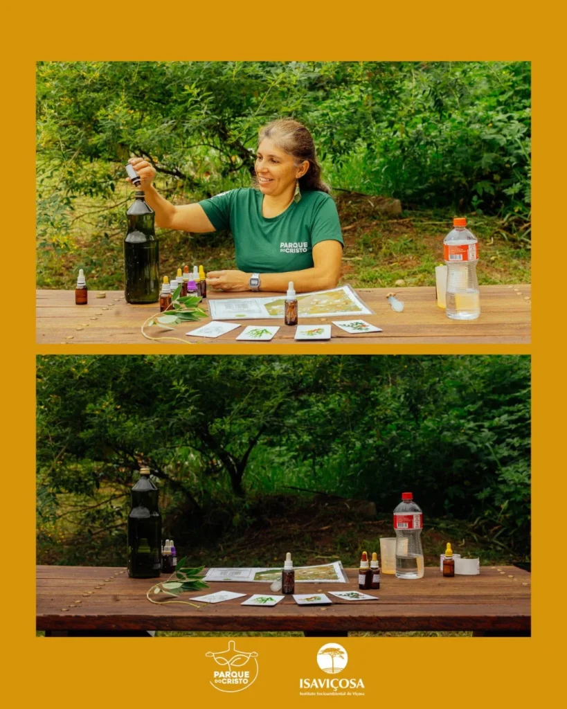Tratamento homeopático no Parque do Cristo continua