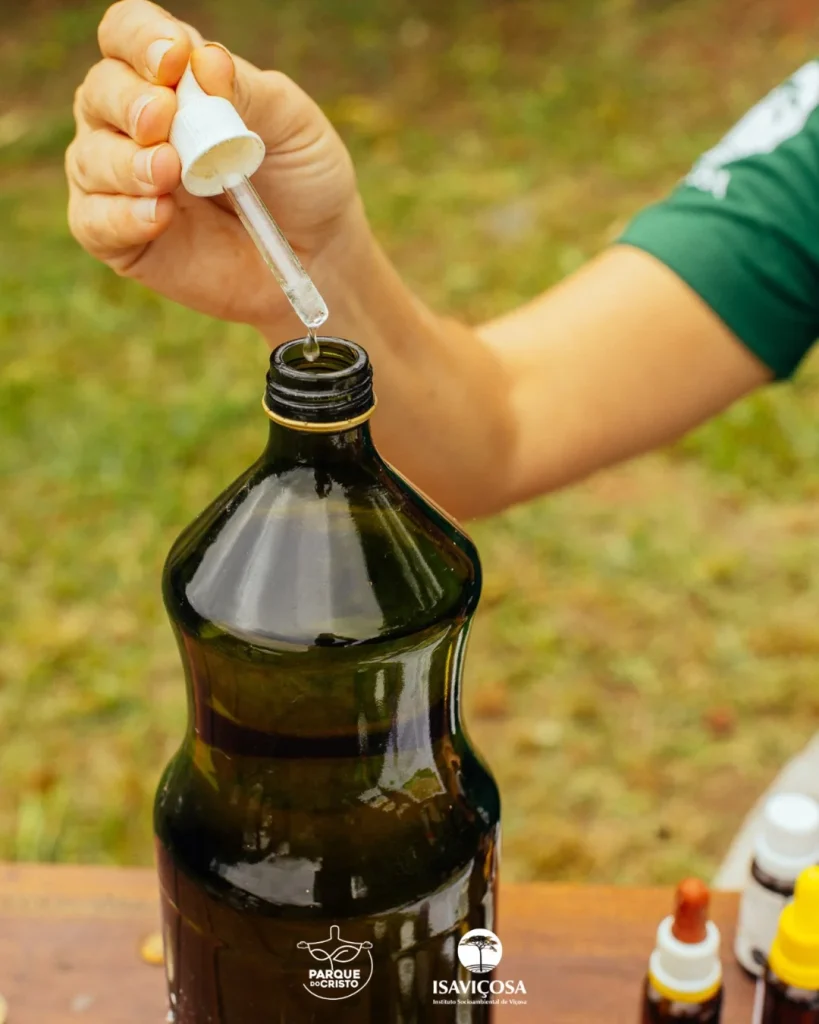 Tratamento homeopático no Parque do Cristo continua