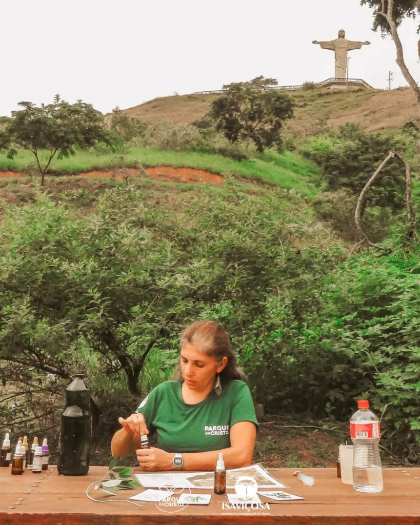 Tratamento homeopático no Parque do Cristo continua