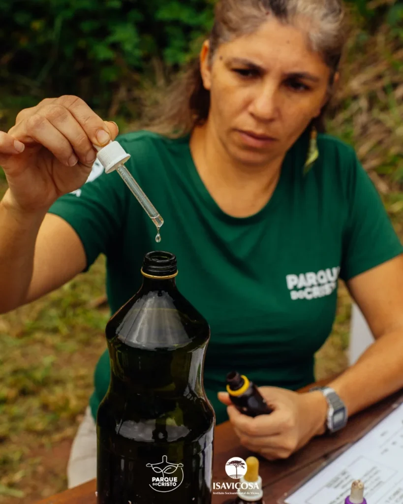Tratamento homeopático no Parque do Cristo continua