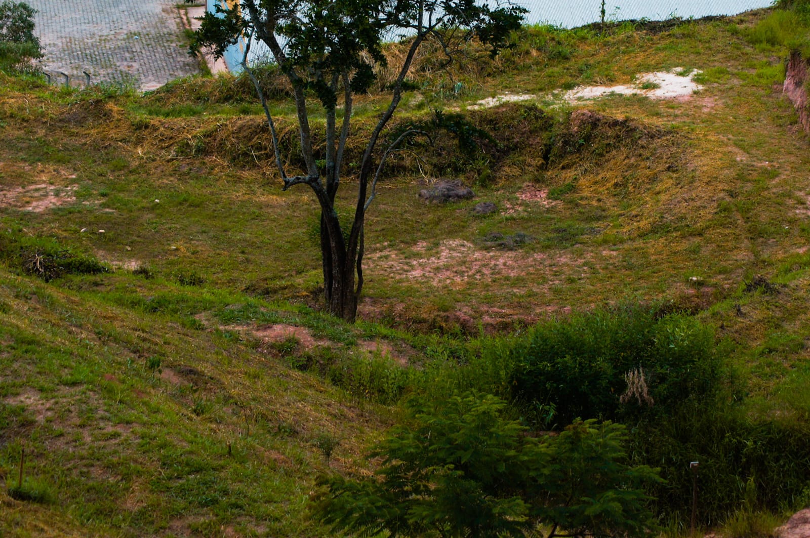 Dia Mundial da Água: Conheça o plantio de água realizado no Parque Natural Municipal do Cristo Redentor